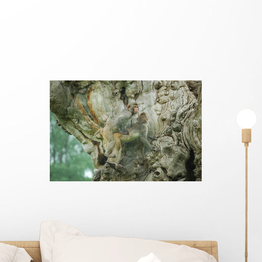 Monkey Business Wall Decal