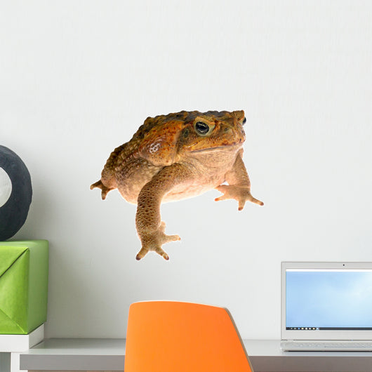 Cane Toad Wall Decal
