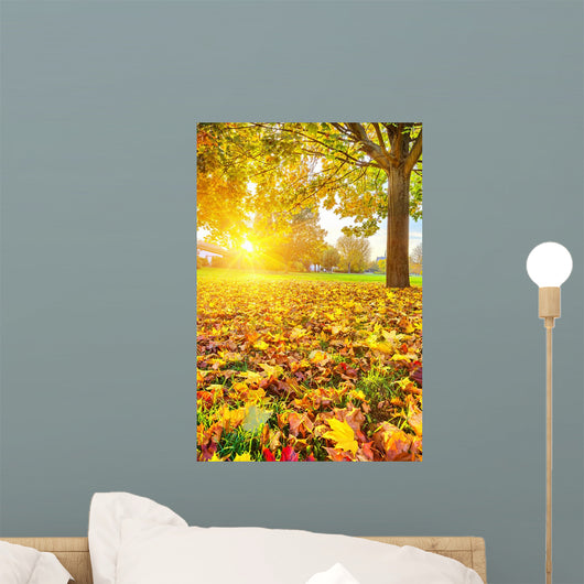 Sunny Autumn Foliage Wall Decal