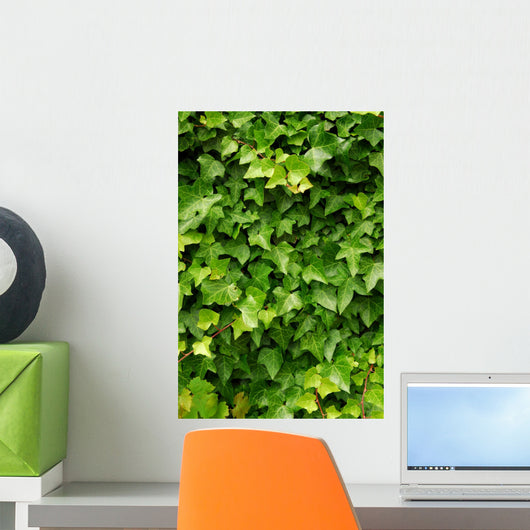 Abstract Lush Green Ivy Wall Decal