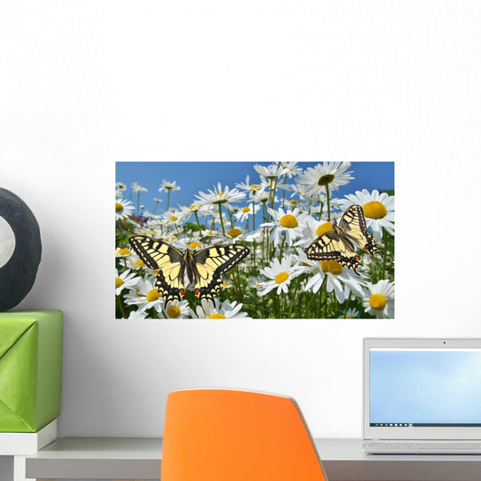 Daisies with Swallowtail Butterflies Wall Decal
