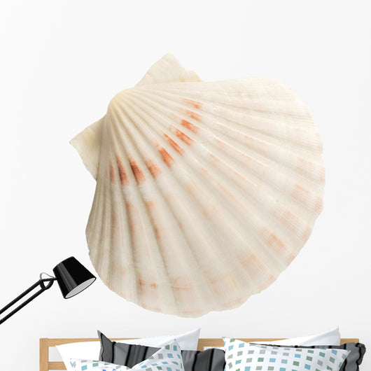Scallop Shell Wall Decal