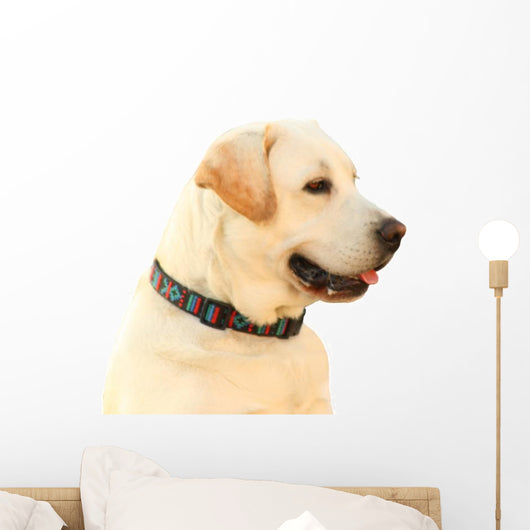 Labrador Wall Decal