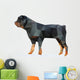Rottweiler Vector Wall Decal