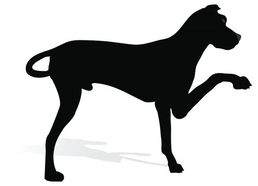 Stock Vector Dog Silhouette Wall Decal Design 2