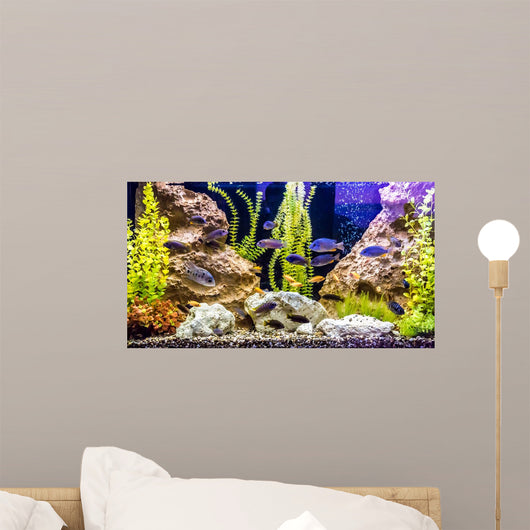 Tropical Freshwater Aquarium with Wall Decal