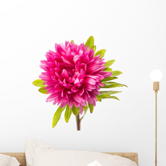 Pink Aster Wall Decal