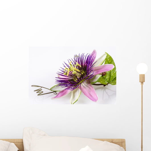 Purple Passion Flower Wall Decal