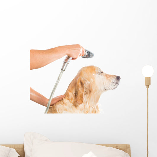 Bathroom to Dog Wall Decal