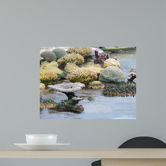 Coral Wall Decal