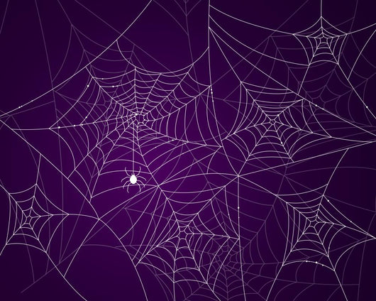 Vector Illustration Scary Spider Wall Decal Design 2