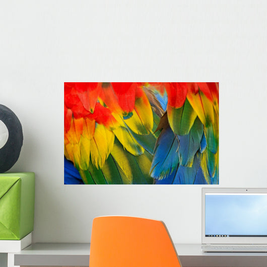 Scarlet Macaw Feathers Wall Decal