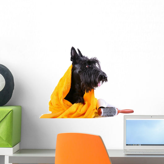Dog after Bath Wall Decal