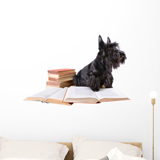 Scotch Terrier with Books Wall Decal