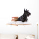 Scotch Terrier with Books Wall Decal