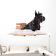 Scotch Terrier with Books Wall Decal