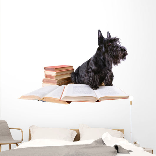 Scotch Terrier with Books Wall Decal