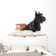Scotch Terrier with Books Wall Decal