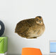 Japanese Quail Wall Decal