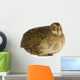 Japanese Quail Wall Decal
