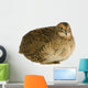 Japanese Quail Wall Decal