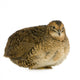 Japanese Quail Wall Decal