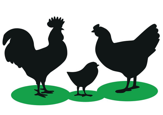 Silhouettes Rooster Hen and Wall Decal