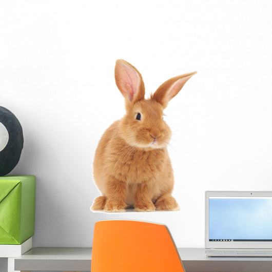 Rabbit Wall Decal