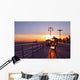Coney Island Sunset Wall Decal