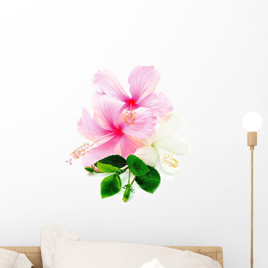 Pink and White Hibiscus Wall Decal