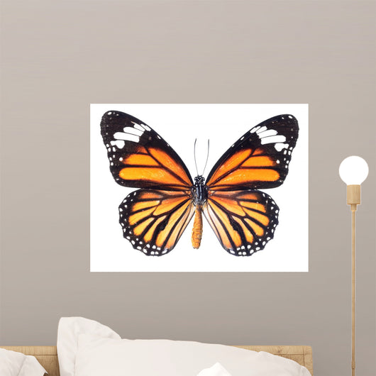 Monarch Butterfly White Wall Decal