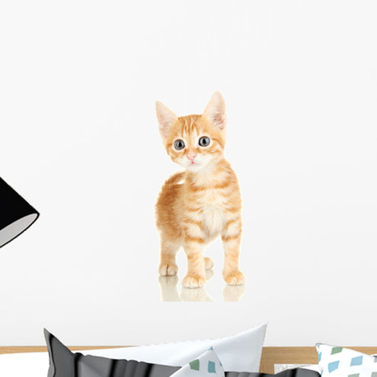 Cute Little Red Kitten Wall Decal Design 3