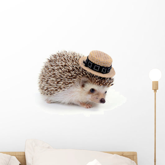 Little Hedgehog Wall Decal