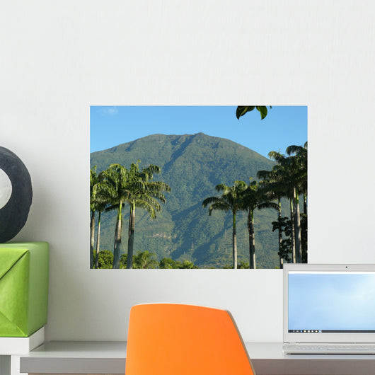 West Pico Avila Park Wall Decal