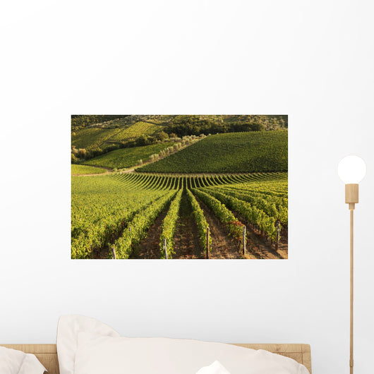 Heart Tuscany with Vineyards Wall Decal