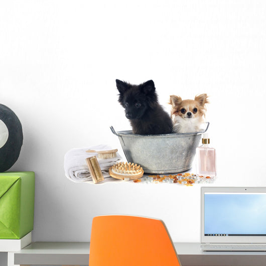 After Bath Wall Decal