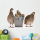 Quail Eggs Wall Decal