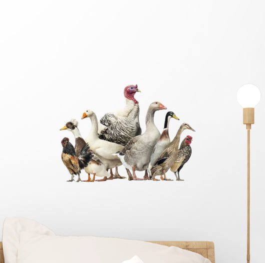 Group Ducks Geese and Wall Decal Design 2