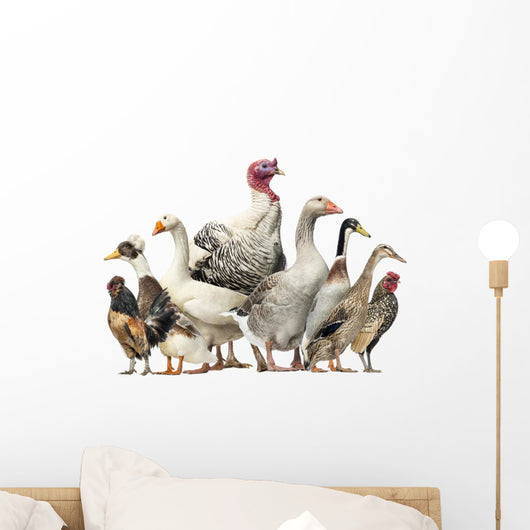 Group Ducks Geese and Wall Decal Design 2