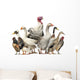 Group Ducks Geese and Wall Decal Design 2