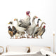 Group Ducks Geese and Wall Decal Design 2