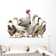 Group Ducks Geese and Wall Decal Design 2