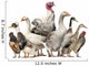 Group Ducks Geese and Wall Decal Design 2