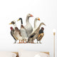 Group Ducks Geese and Wall Decal Design 1