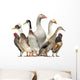 Group Ducks Geese and Wall Decal Design 1