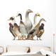 Group Ducks Geese and Wall Decal Design 1