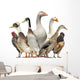 Group Ducks Geese and Wall Decal Design 1