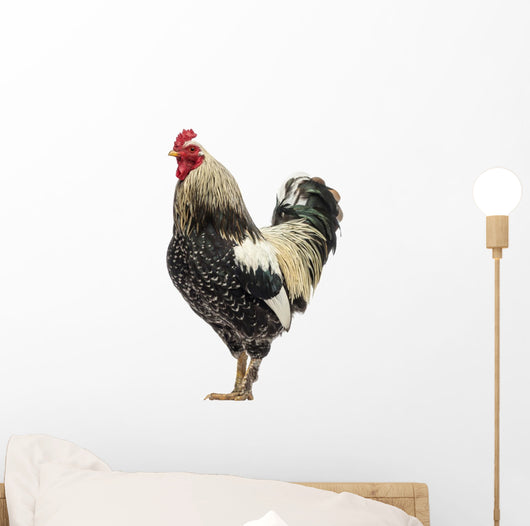 Brahma Rooster Wall Decal