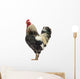 Brahma Rooster Wall Decal