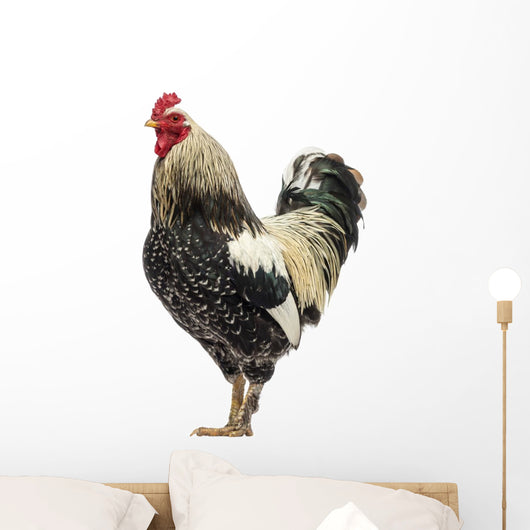 Brahma Rooster Wall Decal